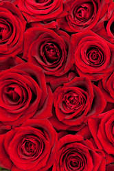 Similar image 8403213