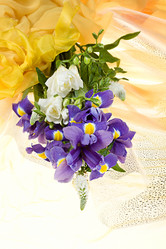 Similar image 8403246