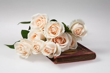 Similar image 8403247