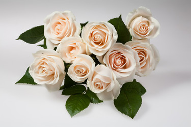 Similar image 8403249