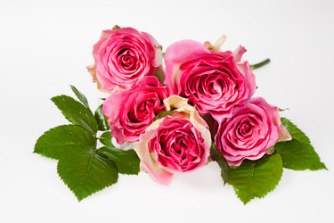 Similar image 8403251