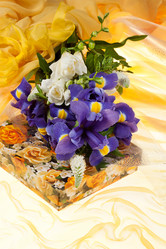 Similar image 8403253