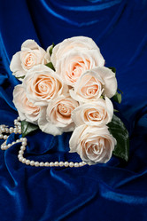 Similar image 8403257