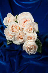 Similar image 8403259