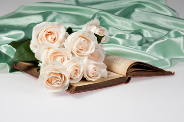 Similar image 8403263