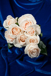 Similar image 8403264