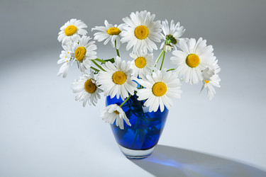 Similar image 8403274