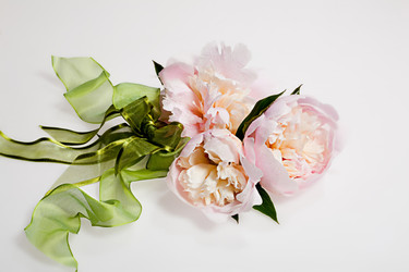 Similar image 8403281