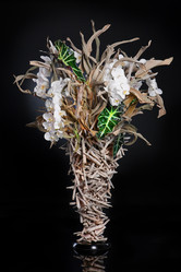 Similar image 8403289