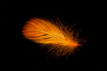 Similar image 8403320