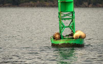 Similar image 8403355