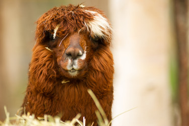 Similar image 8403356