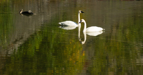 Similar image 8403360