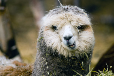 Similar image 8403370