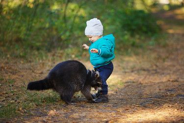 Similar image 8403447