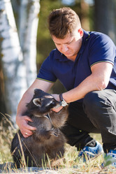 Similar image 8403451