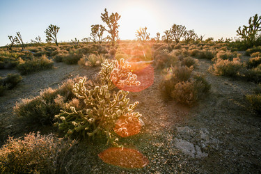 Similar image 8403494