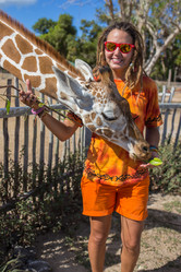 Similar image 8403894