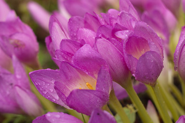 Similar image 8404661