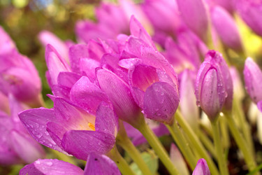 Similar image 8404662