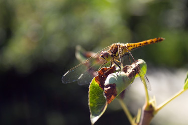 Similar image 8404663