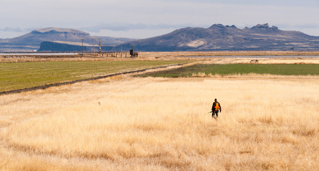 Similar image 8404826