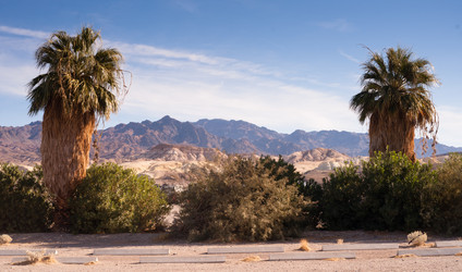 Similar image 8406052