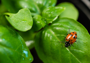 Similar image 8406129