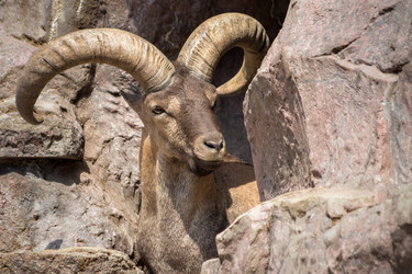 Similar image 8406184