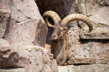 Similar image 8406185