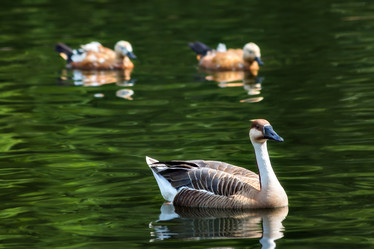 Similar image 8406191