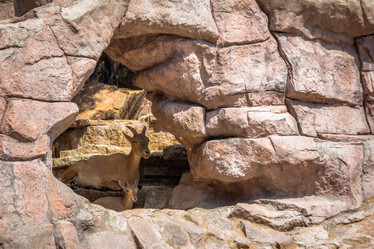 Similar image 8406193