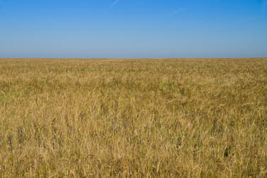 Similar image 8406194