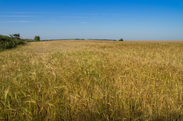 Similar image 8406195