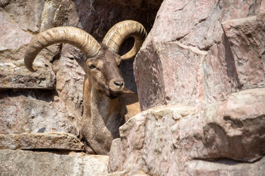 Similar image 8406235