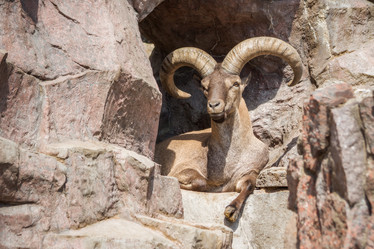 Similar image 8406247