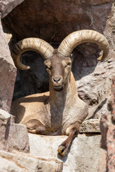 Similar image 8406249