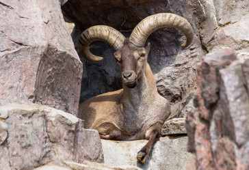 Similar image 8406250