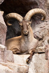 Similar image 8406252