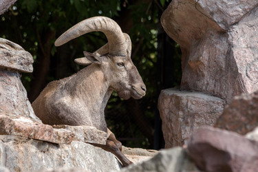 Similar image 8406253