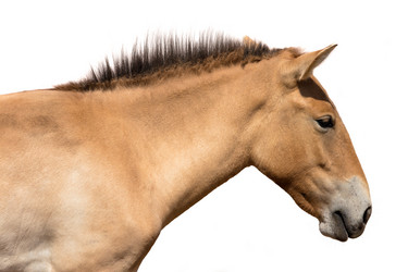 Similar image 8406261