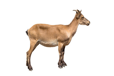 Similar image 8406264