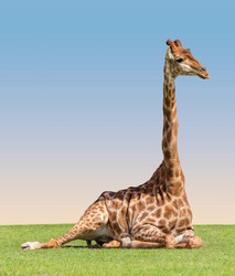 Similar image 8406265