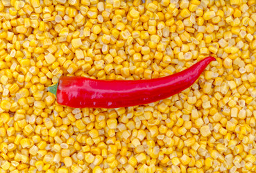 Similar image 8441398