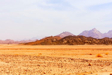 Similar image 8441651