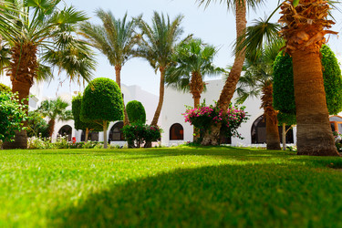 Similar image 8441661