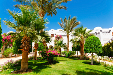 Similar image 8441662