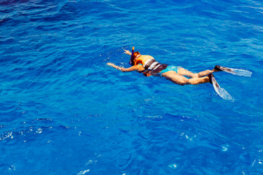 Similar image 8441719