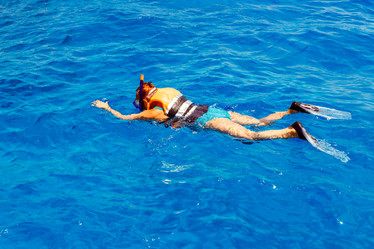 Similar image 8441727