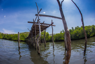 Similar image 8441840